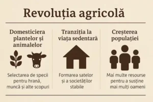 Revoluția agricolă